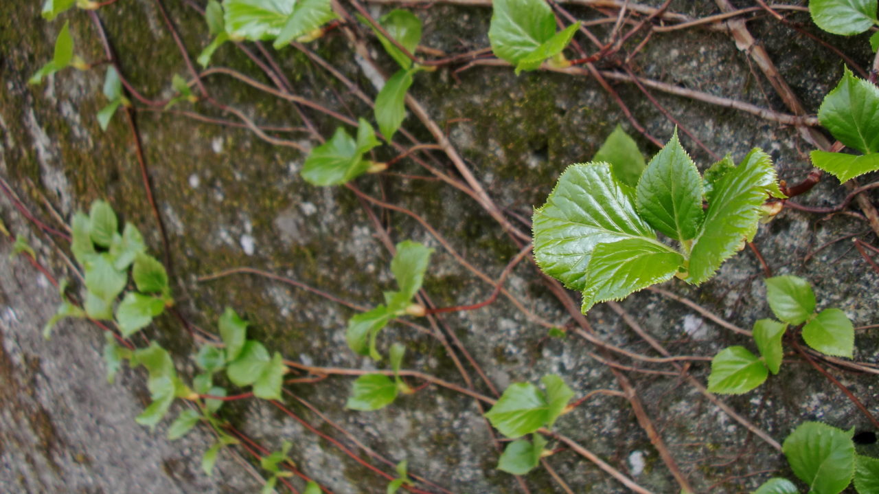 YU-KI.@PicNos!管理人のブログ